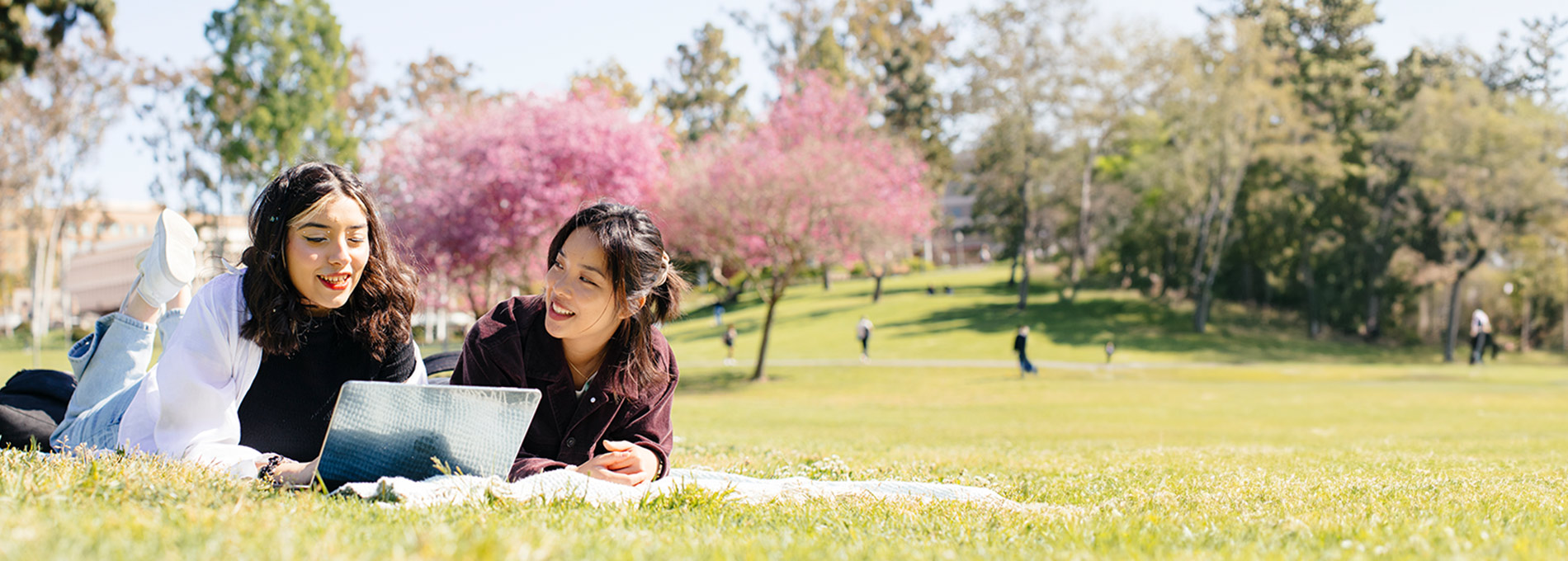 Two students studying outside